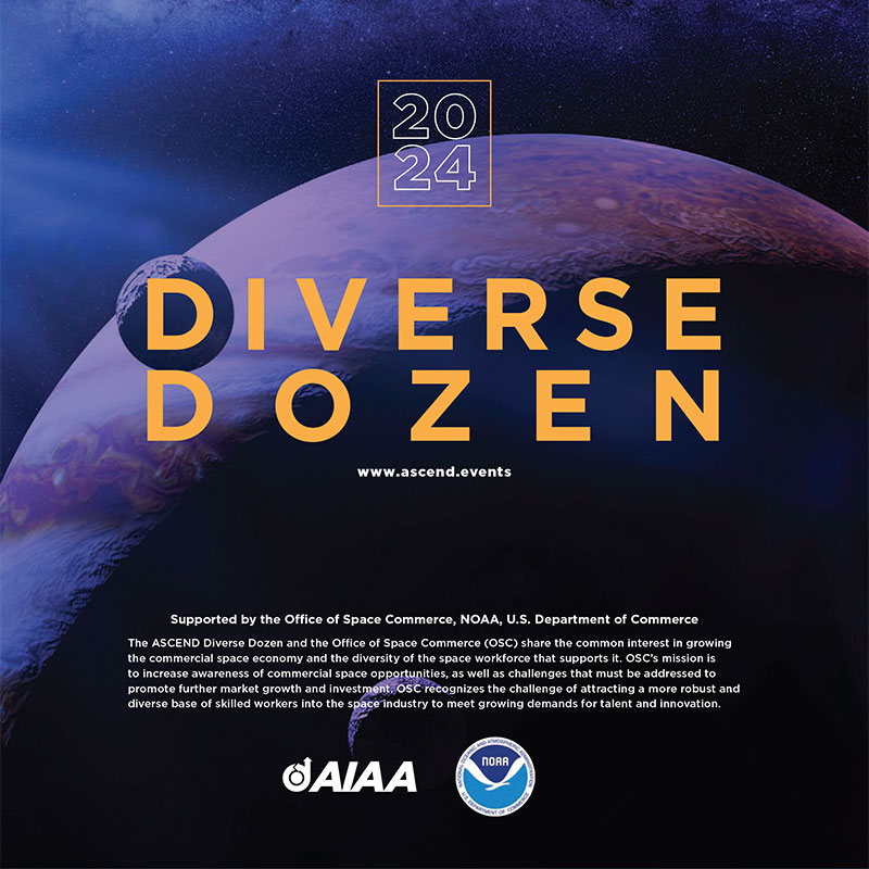 DiverseDozen-2024-cover-thumbnail