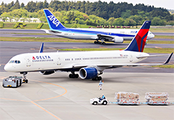 Commercial Plane Crash Deaths Dropped 50% In 2019 Commercial Plane Crash Deaths Dropped 50% In 2019