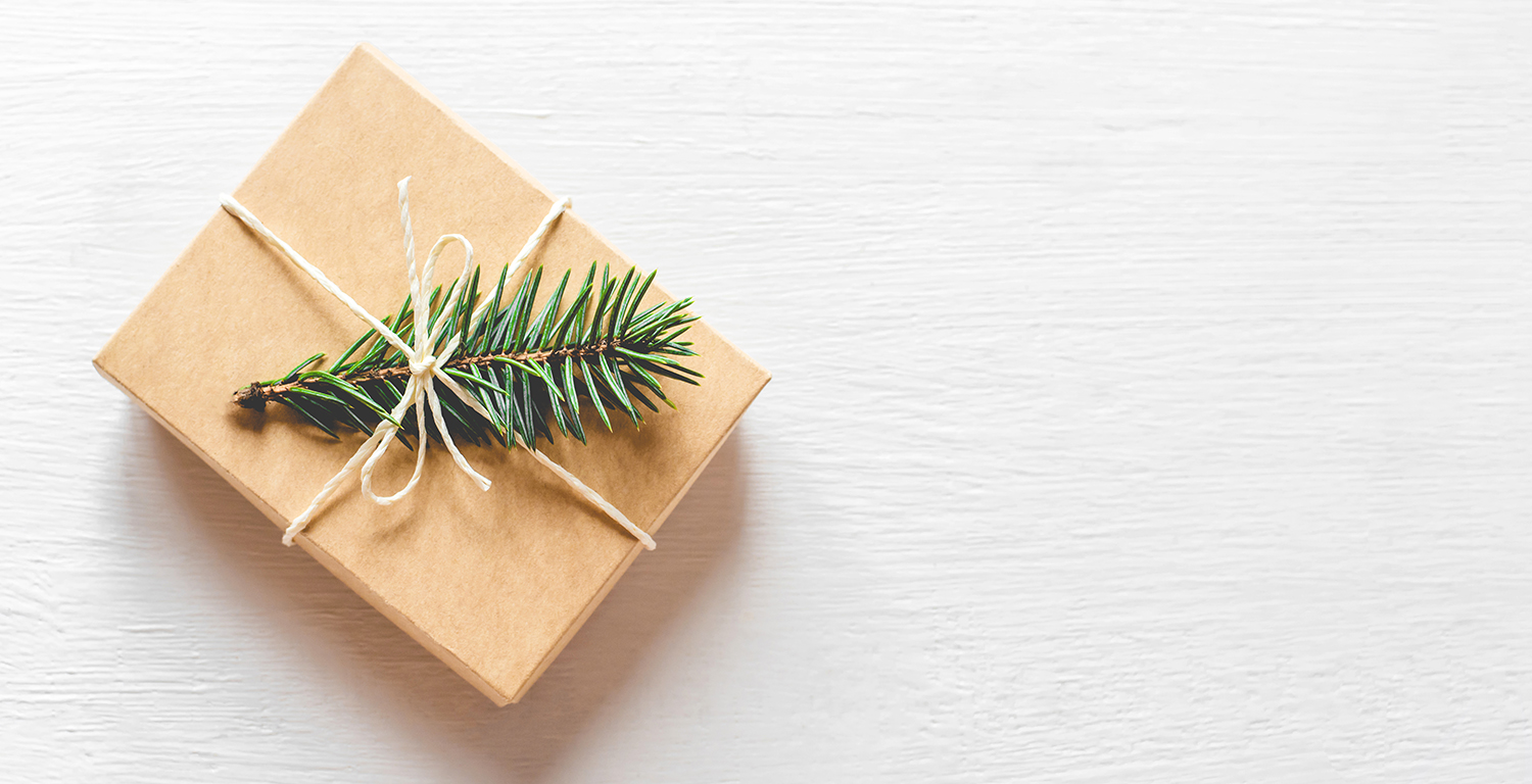 Christmas gift with fir branch on white background.